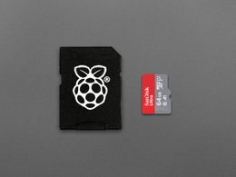 SanDisk MicroSD Card Class 10 with Raspberry Pi OS pre-installed