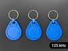 RFID Key Tags 125 kHz