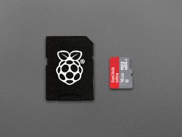 SanDisk MicroSD Card Class 10 with Raspberry Pi OS pre-installed