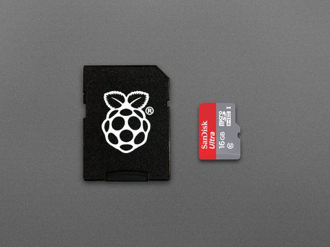 SanDisk MicroSD Card Class 10 with Raspberry Pi OS pre-installed